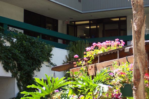 EXECUTIVE OFFICES $450.00 TO $550.00 PER MONTH, INCLUDES UTILITIES.